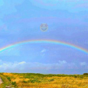 Vivid full rainbow over the Inverness boardwalk and town with the Inverness sign and three smiling emojis with heart eyes, star eyes, and sunglasses floating over the rainbow.