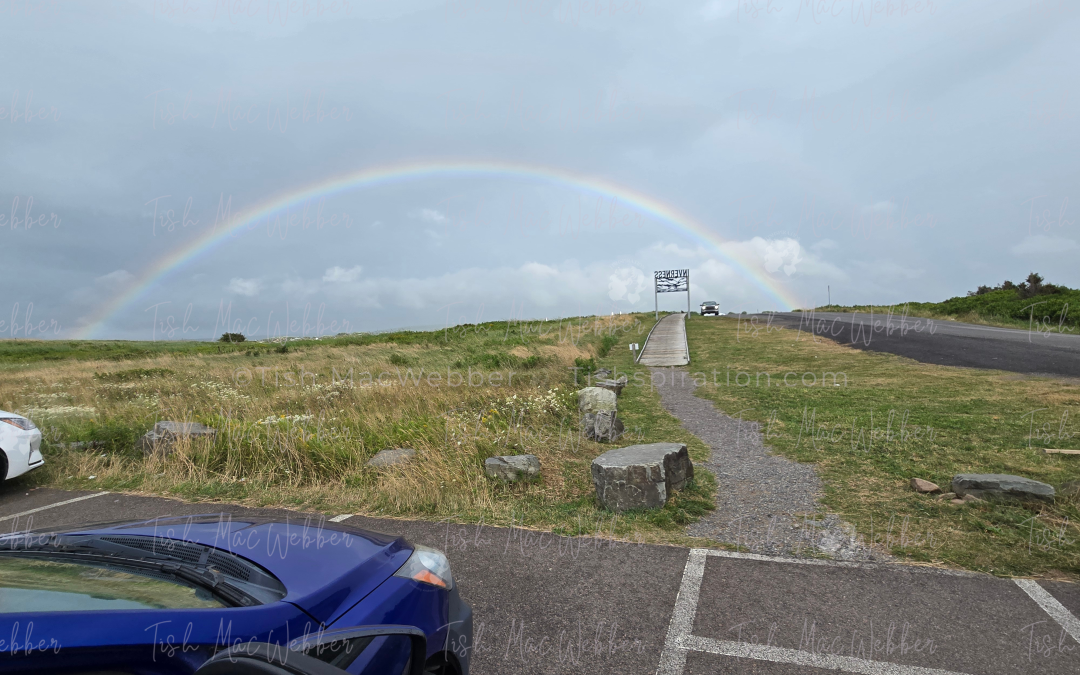 The Tishspiration Rainbow Collection Story